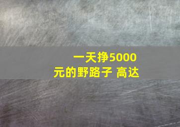 一天挣5000元的野路子 高达